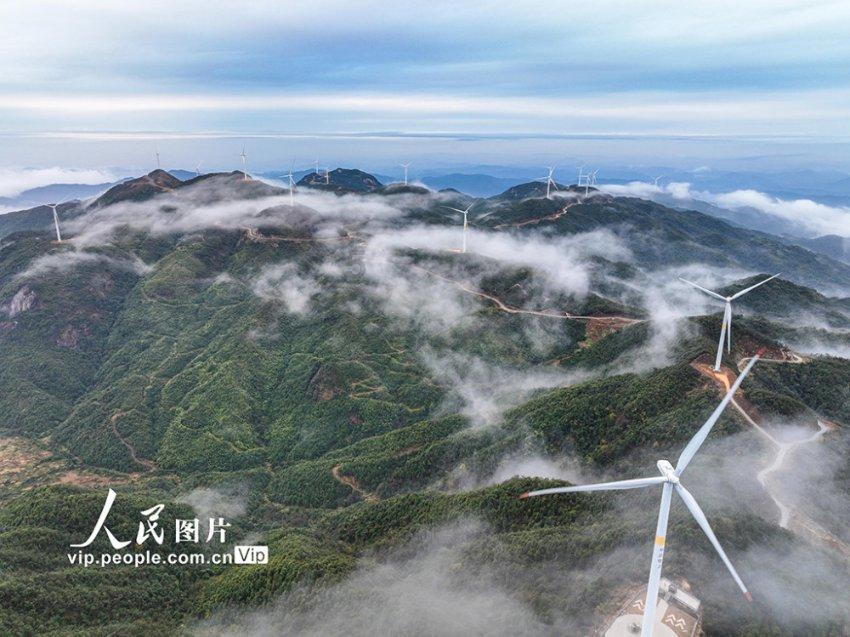 油脂性掉发用什么洗发水好？